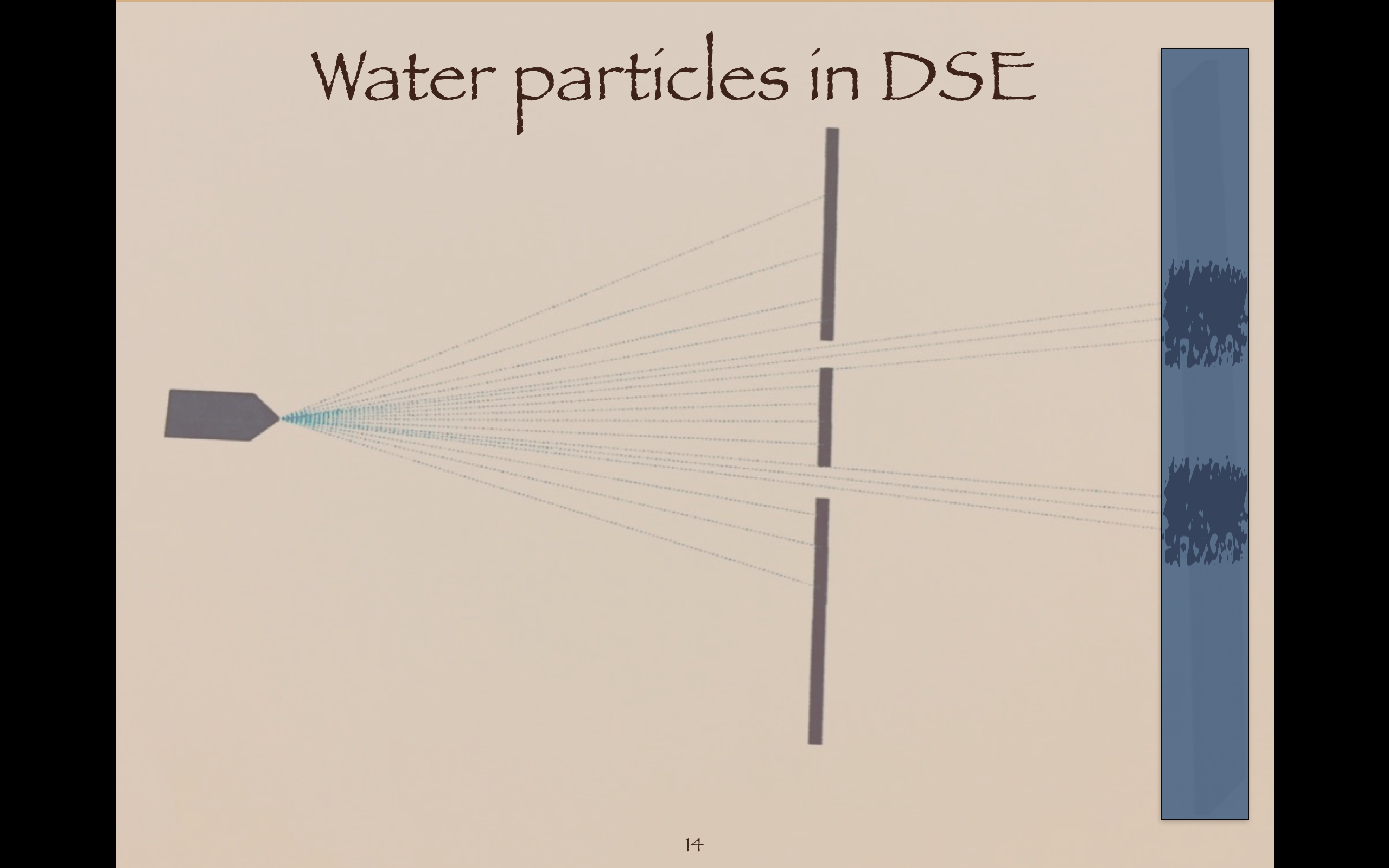 DSE water particles
